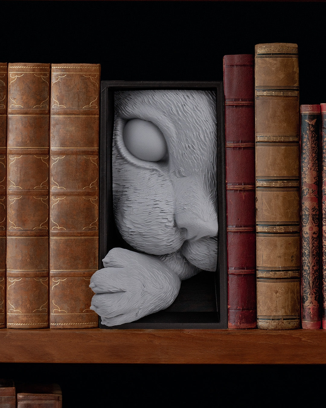 Cat Book Nook